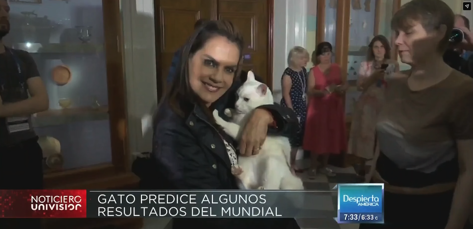 Aquiles, el gato que predice en San Petesburgo, resultados en Rusia 2018… Ahtziri Cárdenas Camarena.