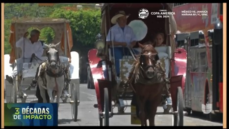 La próxima desaparición de calandrias con caballos, en Guadalajara, México, por Ahtziri Cárdenas Camarena.